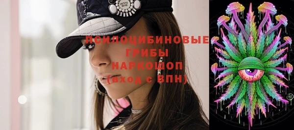 эйфоретик Богородицк