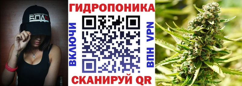 Каннабис план наркотики Колпашево